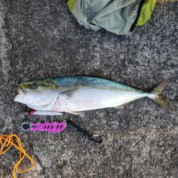 ナブラあるのになかなかヒットしないです( ノД`)…