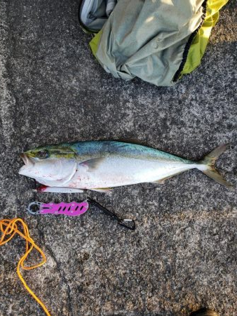 ナブラあるのになかなかヒットしないです( …