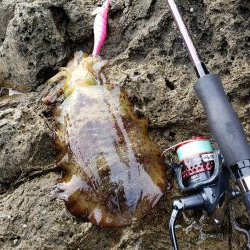 なかなか厳しくなってます( ノД`)…