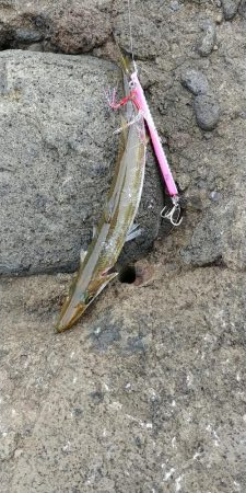 二回目の磯！！玉川地磯