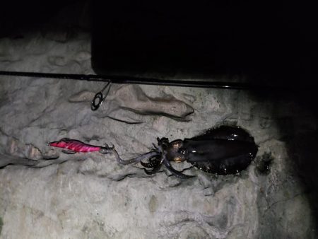 ヘケヘケッ！ちぶい！