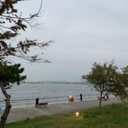 南港シーサイドコスモ