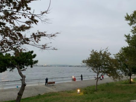 南港シーサイドコスモ