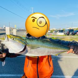 メジロおかわり！