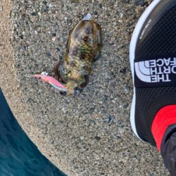 ピンクリボン軍