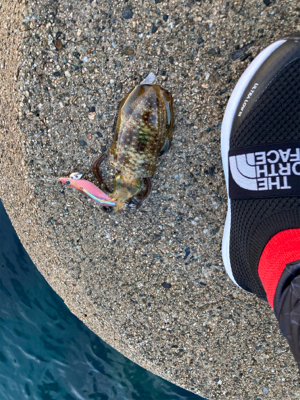 ピンクリボン軍