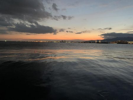 タチウオいないな〜