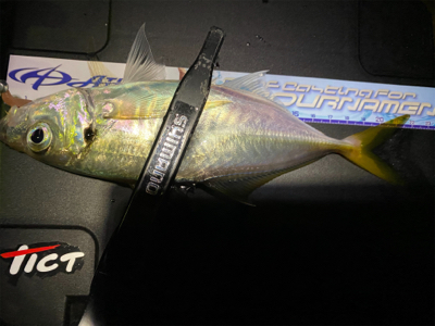 大潮干潮　月明かり　アジにそんなの関係ない…