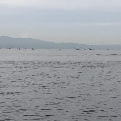 久しぶりのエギング