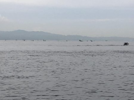 久しぶりのエギング