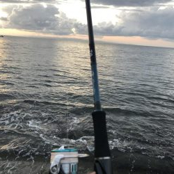 大きくなってます！