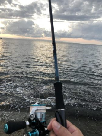 大きくなってます!