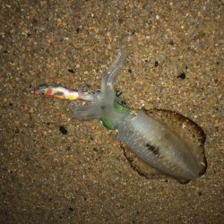 夜中の砂場遊び