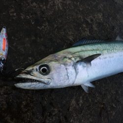 台風前ですが行きましょう！！