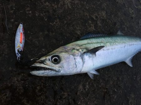 台風前ですが行きましょう！！