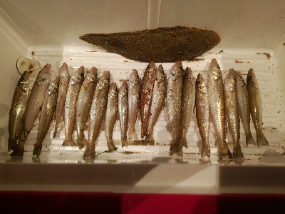 フラット狙うも不発。キスでボウズ逃れ