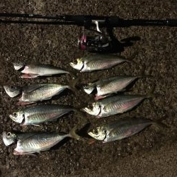 アジング〜ショアジギング