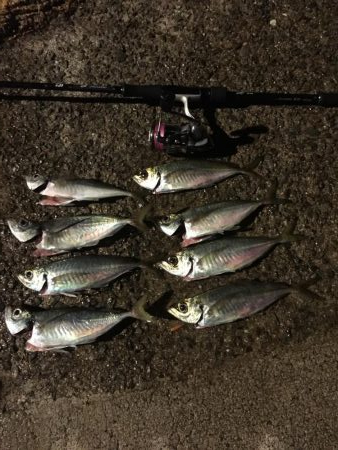 アジング〜ショアジギング