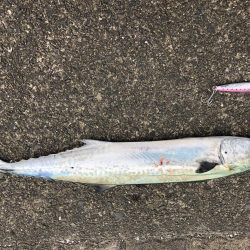 大潮チャレンジ