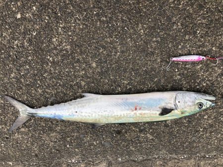 大潮チャレンジ