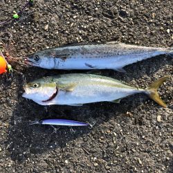 つばすとさごし