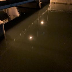 ナイトゲーム秋！