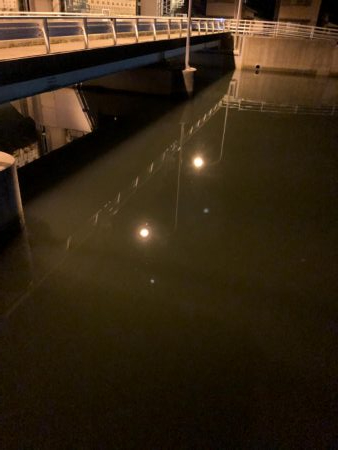 ナイトゲーム秋！