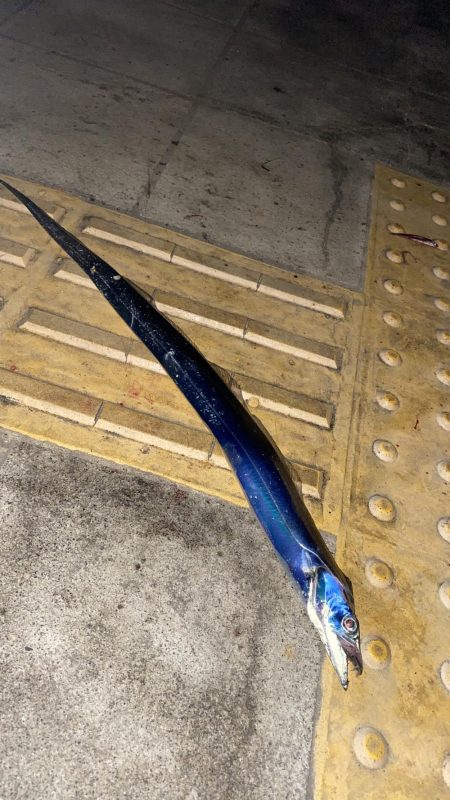 入れ食い、しかし