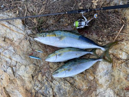 短時間　ショアジギ