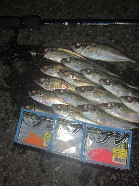 ちょこっとアジングへ