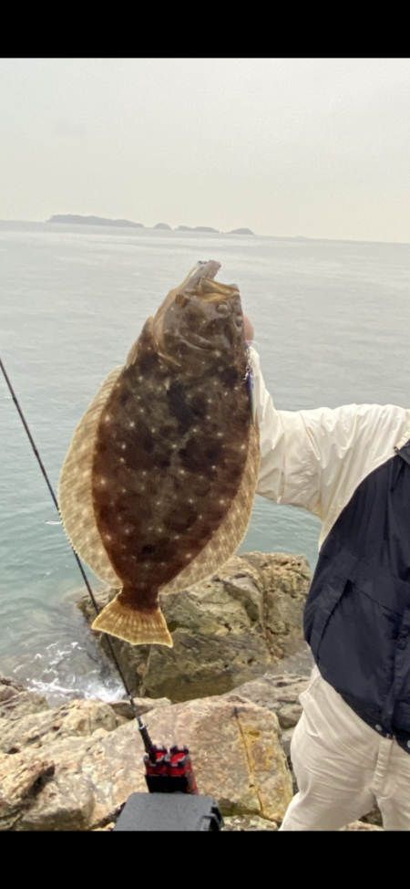 2週続けて高級魚