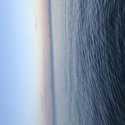 久しぶりにハマチ