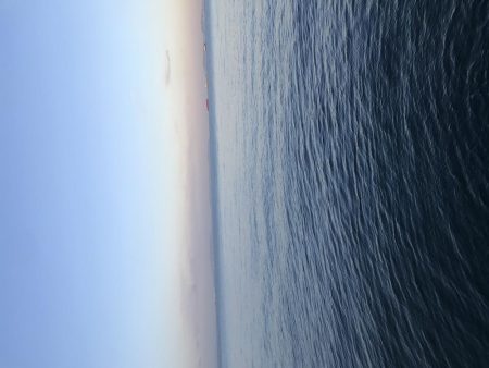 久しぶりにハマチ