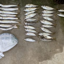 熊本 陸っぱり 釣り 魚釣り 釣果情報サイト カンパリ