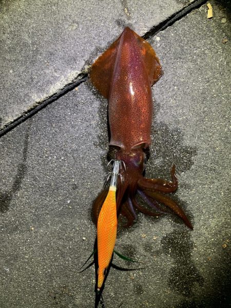 1時間で3杯Get(;｀O´)o/￣￣￣￣…