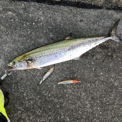 期待してなかったけど…