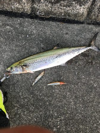 期待してなかったけど…