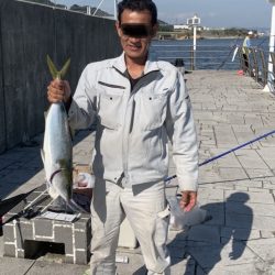 のませでハマチ