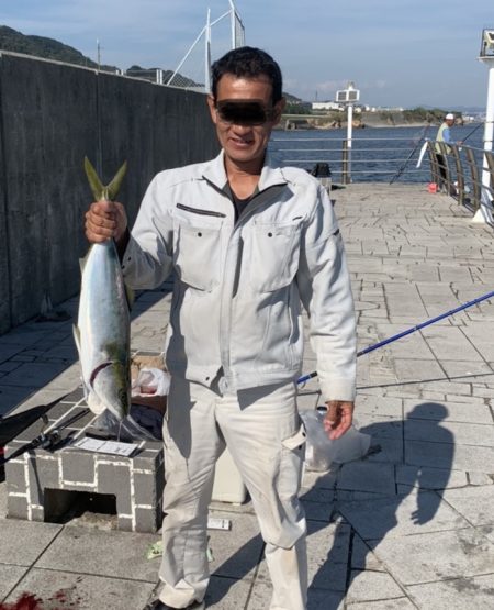 のませでハマチ