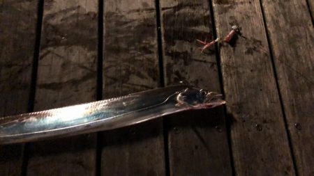 懲りずにコスモ