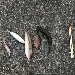 おじゃま虫　大集合