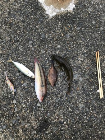 おじゃま虫　大集合