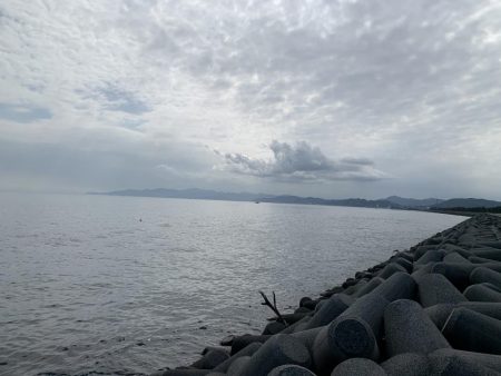 ショアジギング