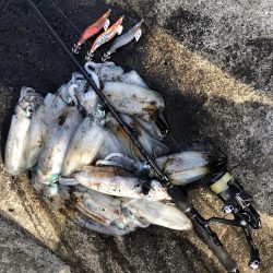 佐渡ヶ島エギング 29回目