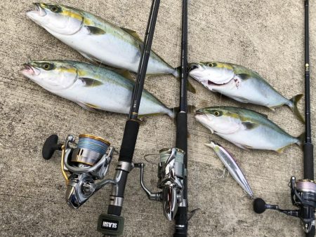 ショアジギング