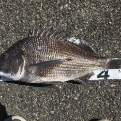 イチノ兄弟、釣果!