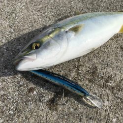 悔しい思いからの