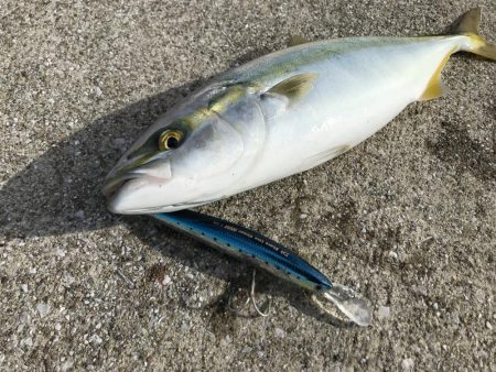 悔しい思いからの