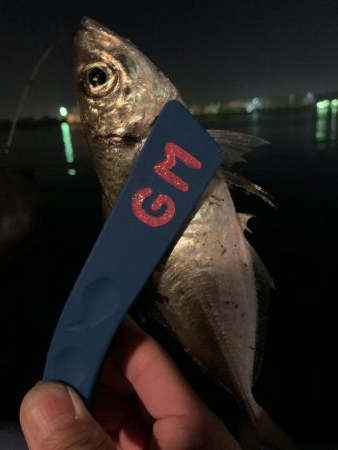 太刀魚調査からのぉ〜