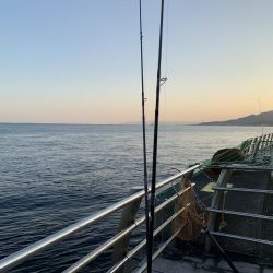 ショアジギング